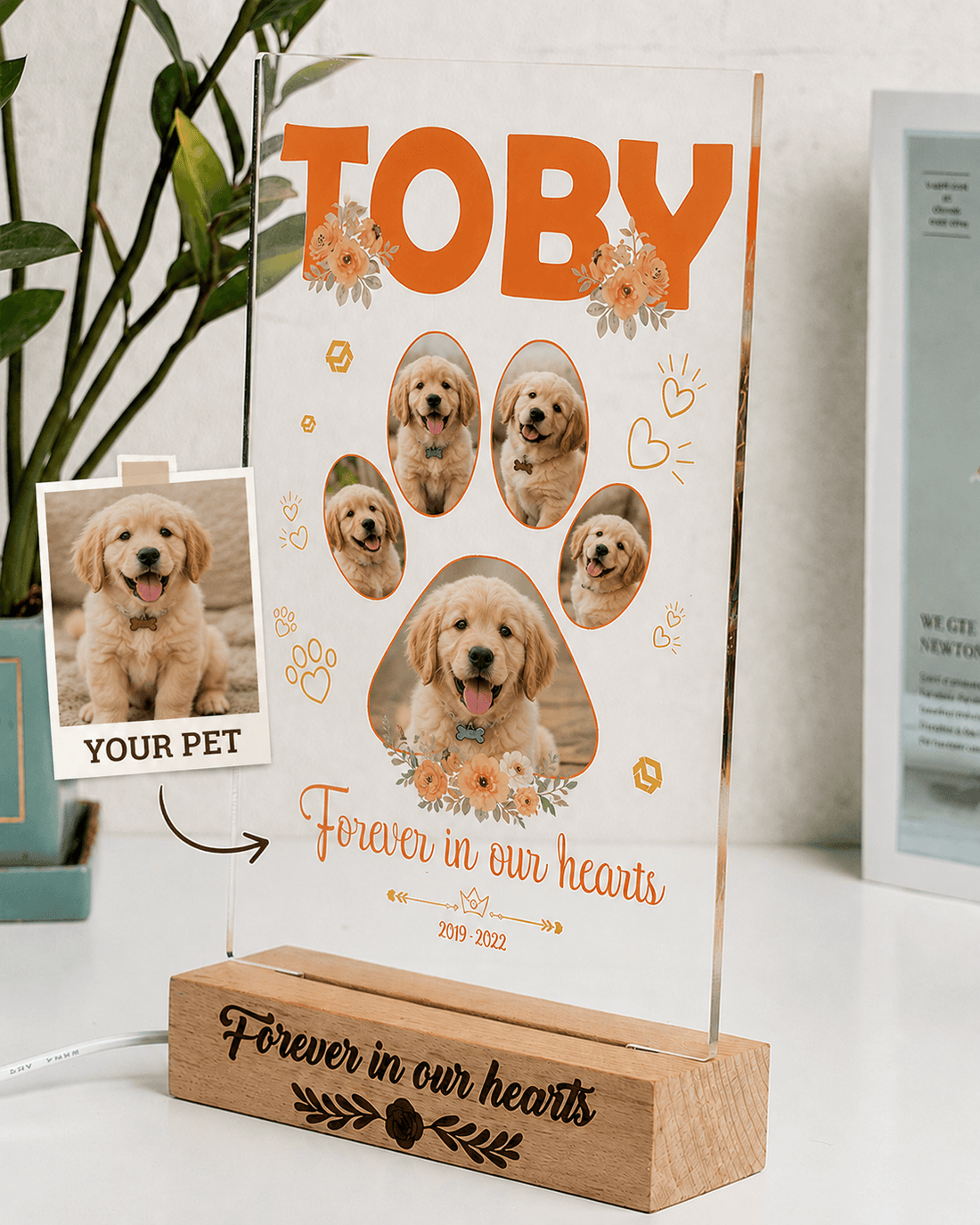 Custom Pet Memorial Acrylic Plaque from Photo – Personalized Dog Cat LED Light Loss Gift
