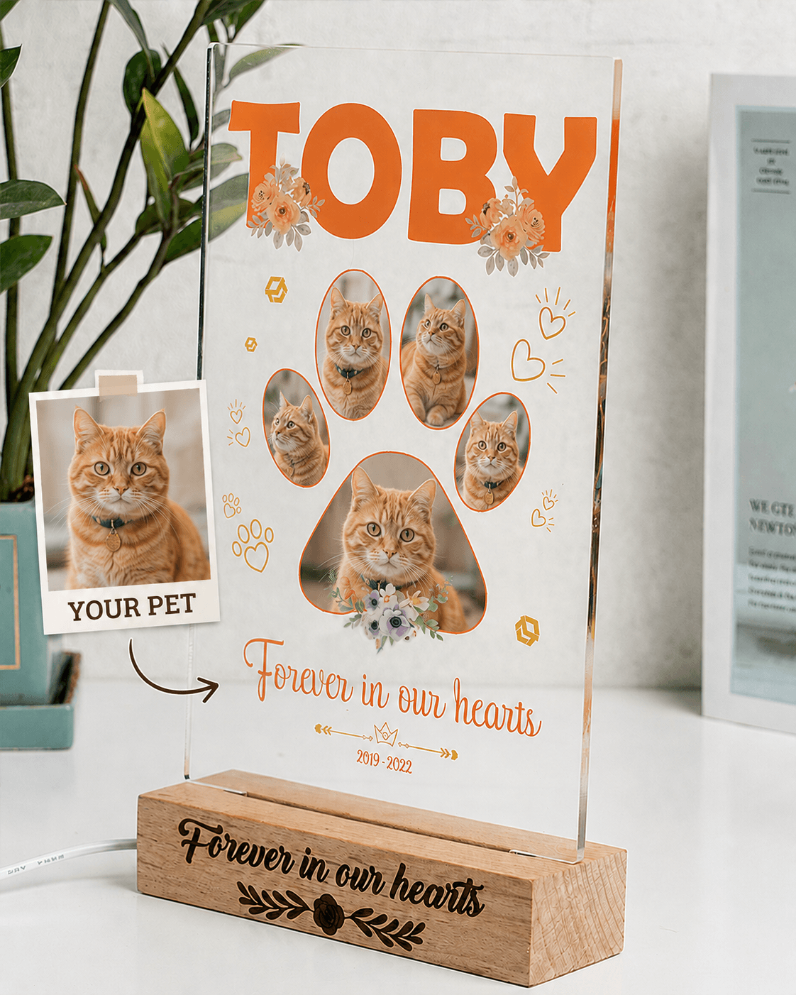 Custom Pet Memorial Acrylic Plaque from Photo – Personalized Dog Cat LED Light Loss Gift