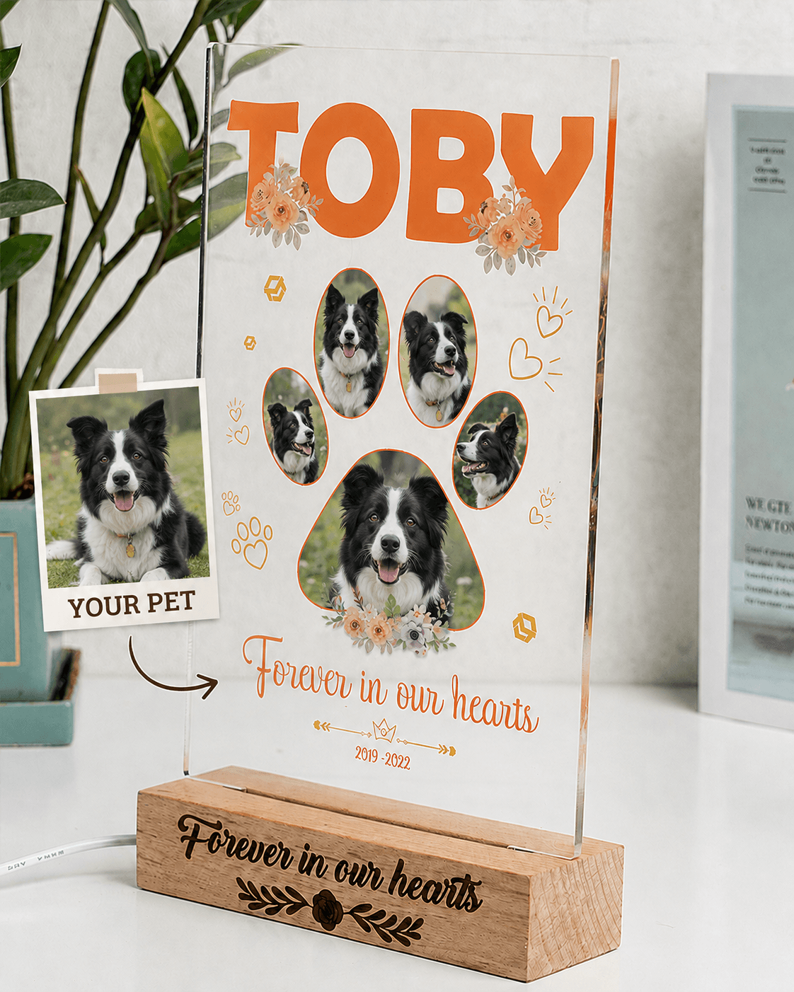 Custom Pet Memorial Acrylic Plaque from Photo – Personalized Dog Cat LED Light Loss Gift