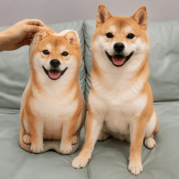 Custom Pet Pillow from Photo – Personalized 3D Dog Cat Shaped Pillow, Pet Lover Gift