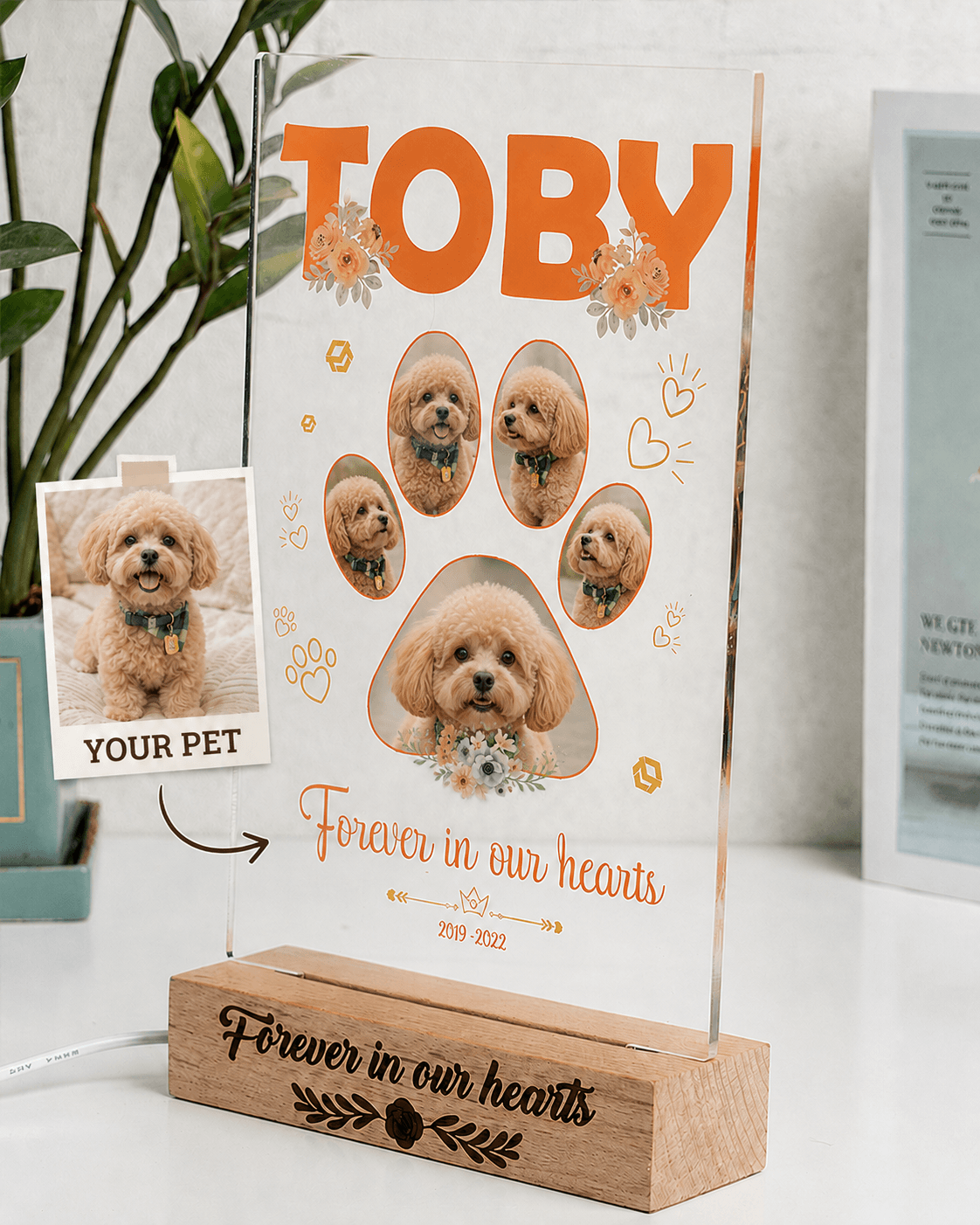 Custom Pet Memorial Acrylic Plaque from Photo – Personalized Dog Cat LED Light Loss Gift