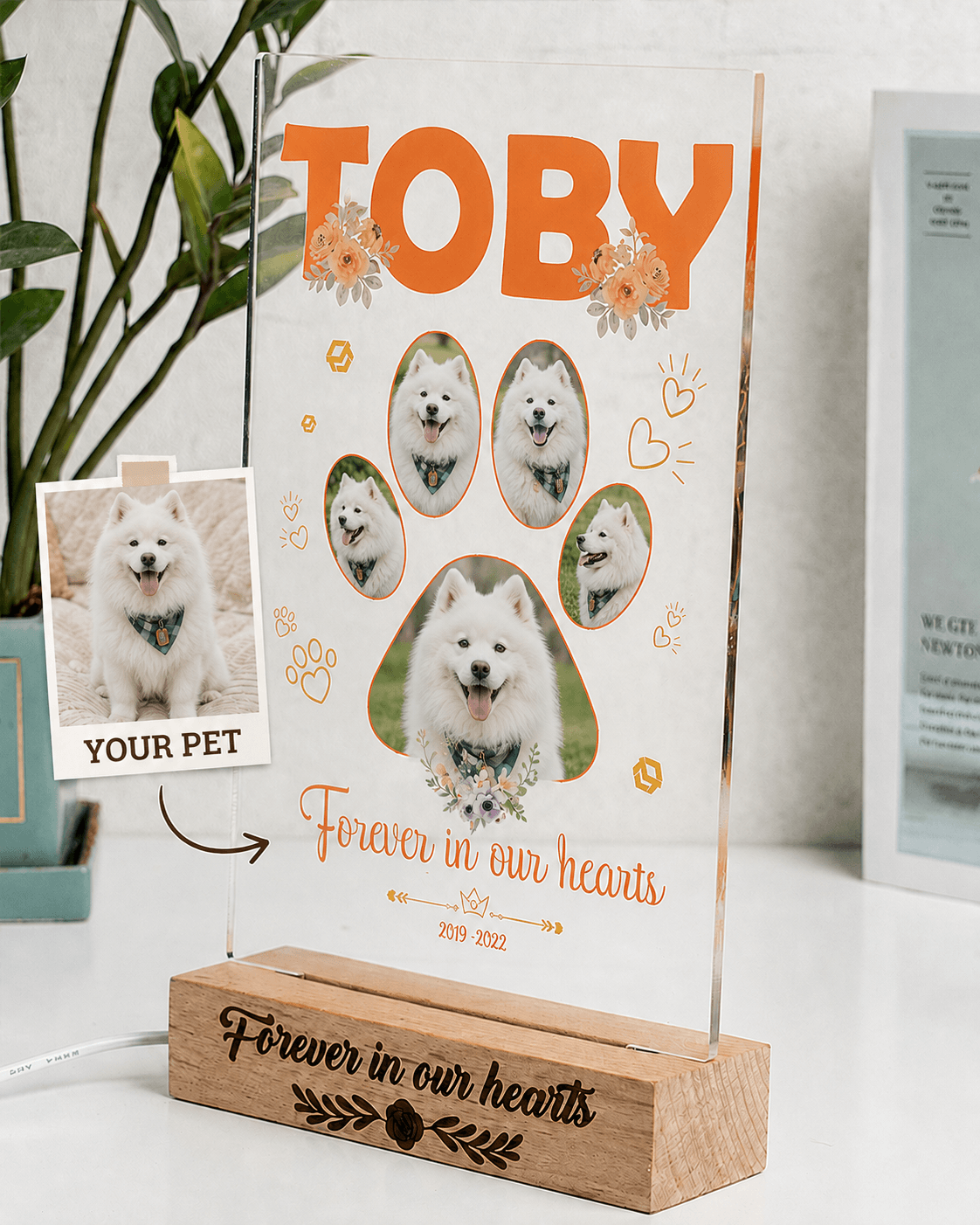 Custom Pet Memorial Acrylic Plaque from Photo – Personalized Dog Cat LED Light Loss Gift