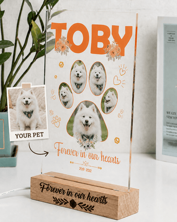 Custom Pet Memorial Acrylic Plaque from Photo – Personalized Dog Cat LED Light Loss Gift