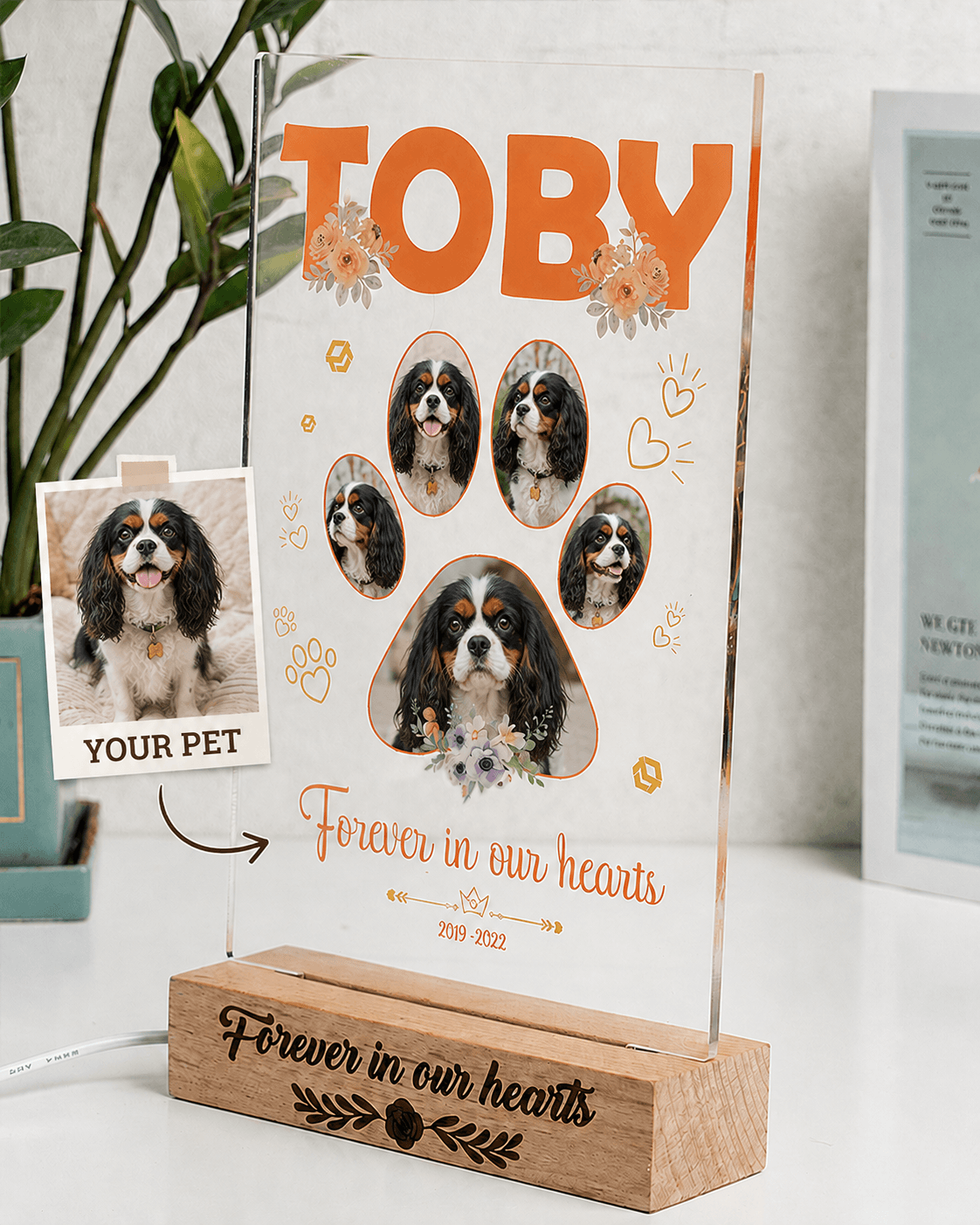 Custom Pet Memorial Acrylic Plaque from Photo – Personalized Dog Cat LED Light Loss Gift