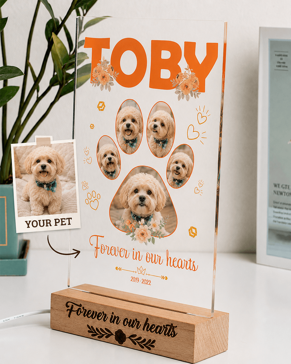 Custom Pet Memorial Acrylic Plaque from Photo – Personalized Dog Cat LED Light Loss Gift