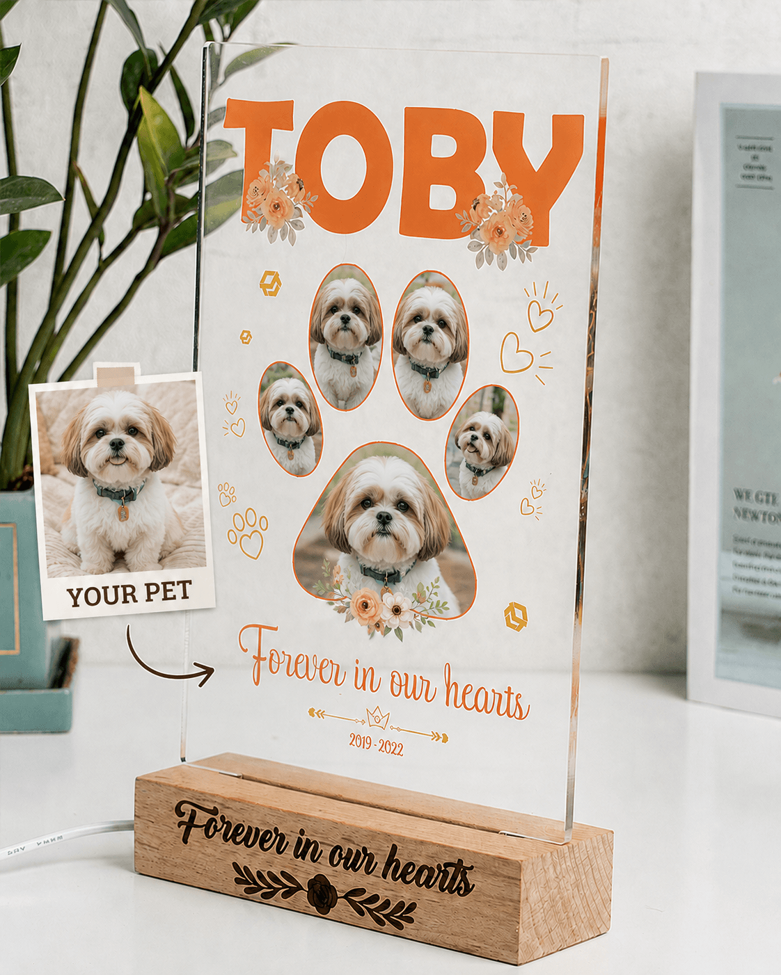 Custom Pet Memorial Acrylic Plaque from Photo – Personalized Dog Cat LED Light Loss Gift