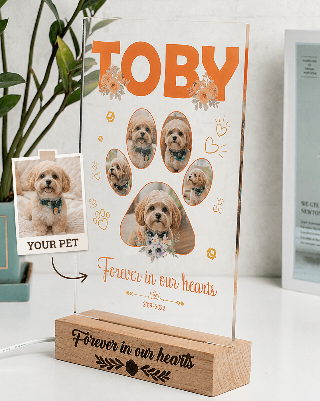 Custom Pet Memorial Acrylic Plaque from Photo – Personalized Dog Cat LED Light Loss Gift