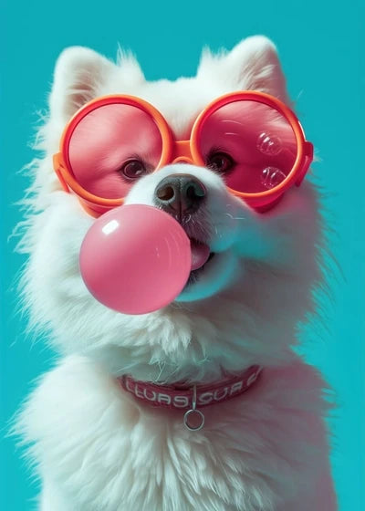 Animals Funny Prints Dog Colorful Bubblegum Sunglasses Poster Samoyed French Bulldog Canvas Painting Wall Art Picture Home Decor