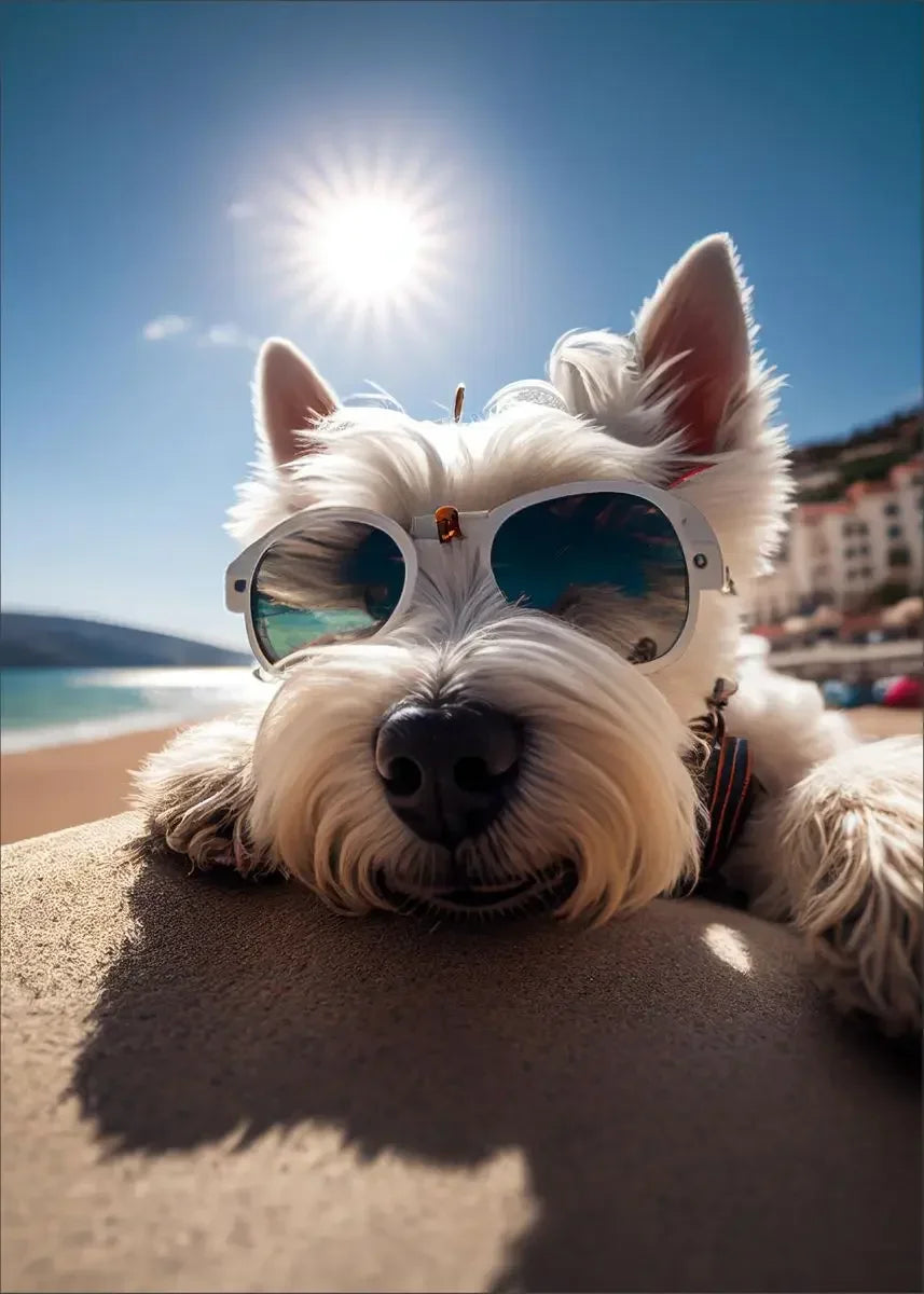 Dog Wearing Sunglasses Poster and Picture Beach Sun Cozy Wall Art Canvas Painting Bulldog KoKi Golden Retriever Print Home Decor