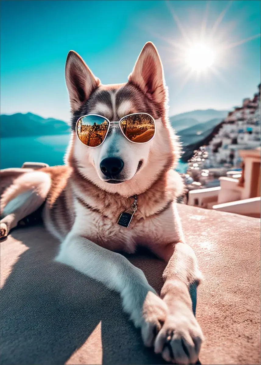 Dog Wearing Sunglasses Poster and Picture Beach Sun Cozy Wall Art Canvas Painting Bulldog KoKi Golden Retriever Print Home Decor