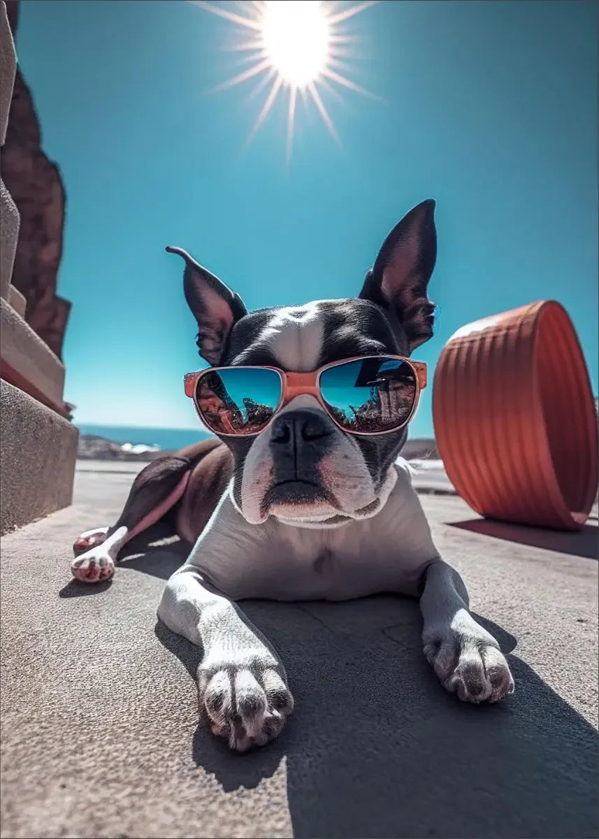Dog Wearing Sunglasses Poster and Picture Beach Sun Cozy Wall Art Canvas Painting Bulldog KoKi Golden Retriever Print Home Decor