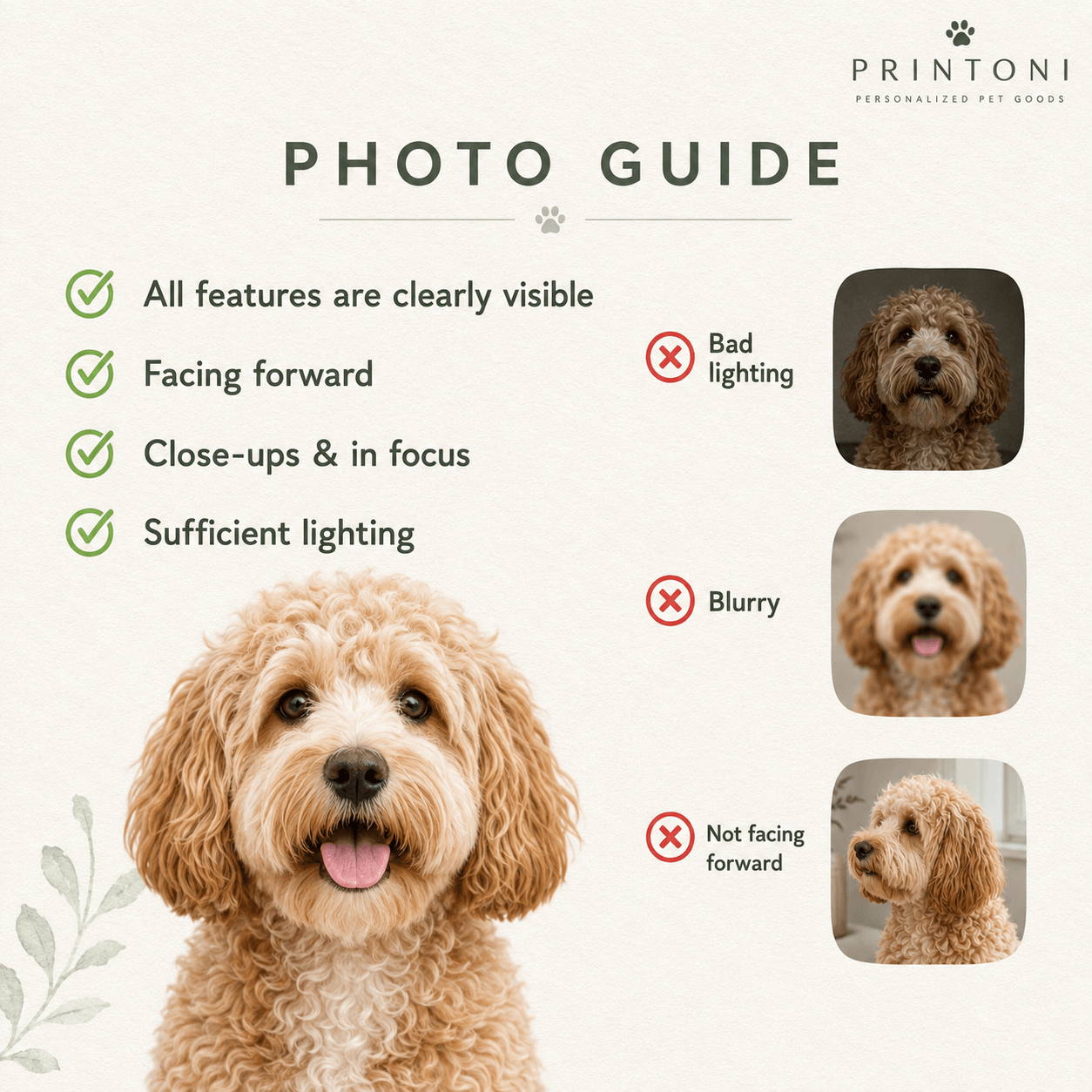 Custom Pet Photo Blanket from Photo, Personalized Dog Face & Name Throw Blanket, Dog Mom Gift, Pet Keepsake Christmas Gift