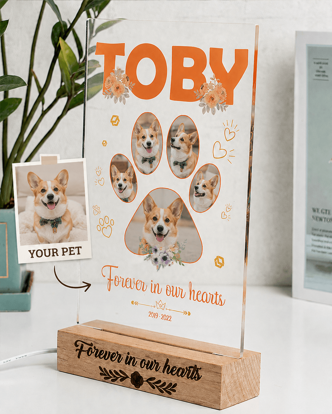 Custom Pet Memorial Acrylic Plaque from Photo – Personalized Dog Cat LED Light Loss Gift