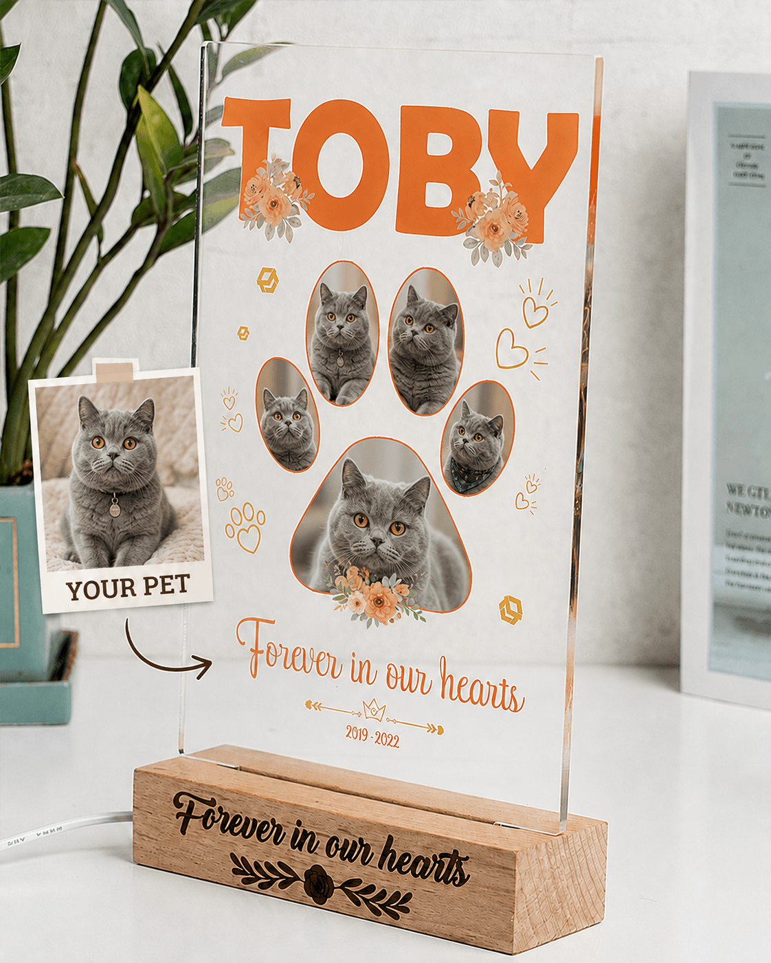 Custom Pet Memorial Acrylic Plaque from Photo – Personalized Dog Cat LED Light Loss Gift