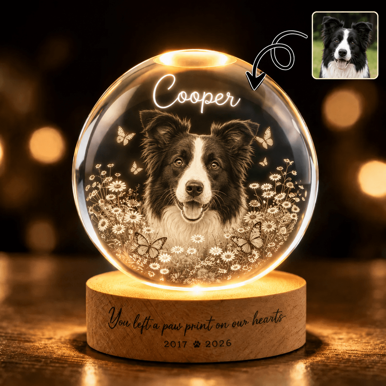Custom Pet Memorial Crystal Ball Night Light from Photo – Personalized Dog Loss Gift Keepsake - Printoni